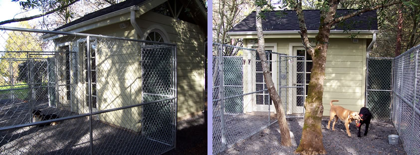 Go Dog Go 3 Week Board and Train - Outside front of Bungalow showing the Play Yard