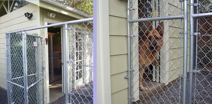 Go Dog Go 3 Week Board and Train - Bungalow doorway perspectives