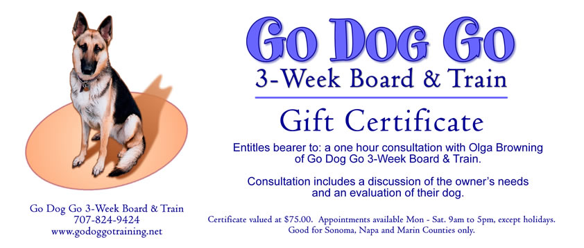 Sample of Gift Certificate