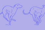 Running Dogs Graphic 2