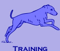 3 Week Board & Train Program
