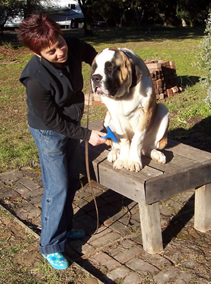 Grooming and Physical Examination